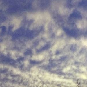 Meet your Posher, Tommy & amanda